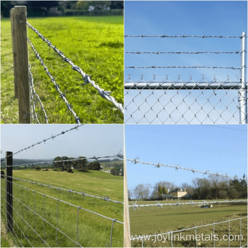 galvanized and stainless steel barbed wire